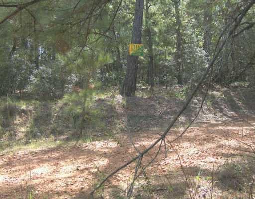 View lot 21 Pine Shadow LN lot 21 Pine Shadow LN - front exterior - Luxury lot in Bastrop, TX
