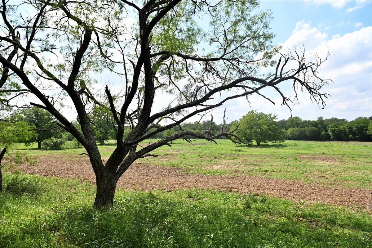 View Lot 5 Valley Creek Dr in Valley Creek Ranches Lot 5 Valley Creek Dr - front exterior - Luxury lot in Valley Creek Ranches, Cedar Creek, TX