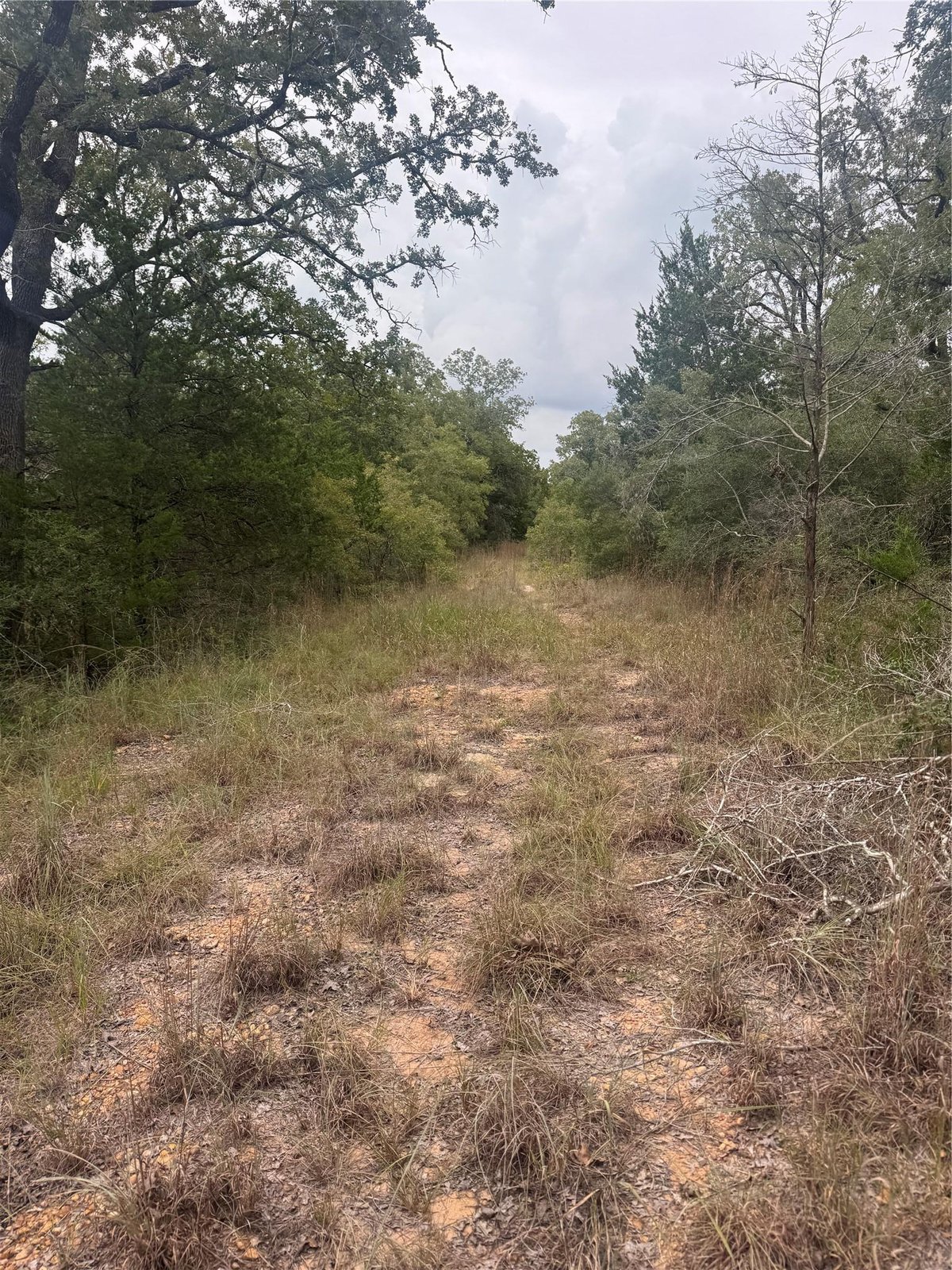 View Lot 6 Spruce St in Lincoln Lake Estate Lot 6 Spruce St - front exterior - Luxury lot in Lincoln Lake Estate, Paige, TX