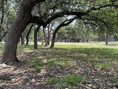 Primary bedroom at 00 Old Red Ranch Rd - A0632 MINA WILSON SURVEY, 20.3 ACRES, Dripping Springs, TX