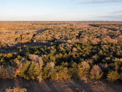 Living area at 000 TBD 17+/- Ac  Grassyville Rd - A244, Paige, TX