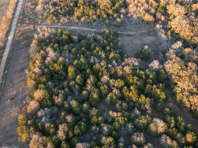 Kitchen at 000 TBD 17+/- Ac  Grassyville Rd - A244, Paige, TX
