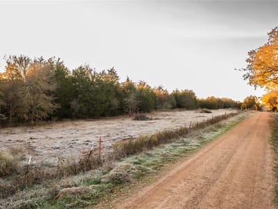 Bathroom at 000 TBD 17+/- Ac  Grassyville Rd - A244, Paige, TX