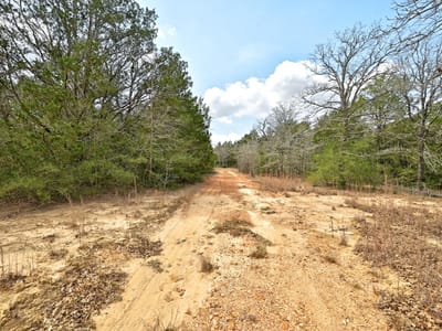 Primary bedroom at 109 Crepe Myrtle Rd - Harmony Acres, Bastrop, TX