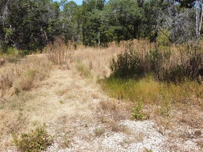 Primary bedroom at 11102 Fifth St - Jonestown Hills, Jonestown, TX