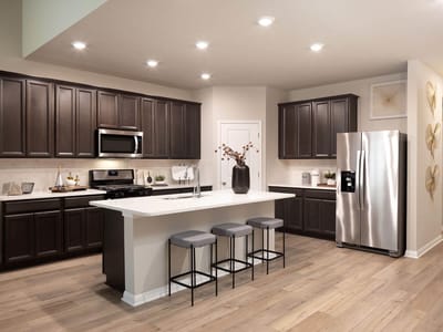 Kitchen at 125 Skyview Farm Ln - Butler Farms, Liberty Hill, TX