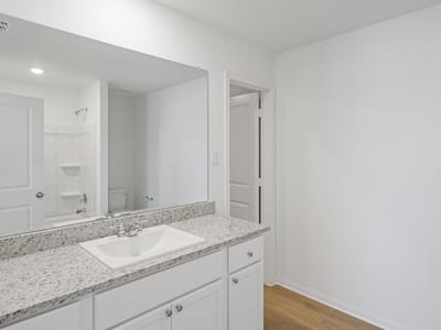 Bathroom at 133 Desert Hare Dr - 3 bed 2 bath home