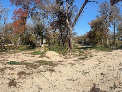 Primary bedroom at 13903 Long Hollow Loop - Leander Hills Sec 02, Leander, TX