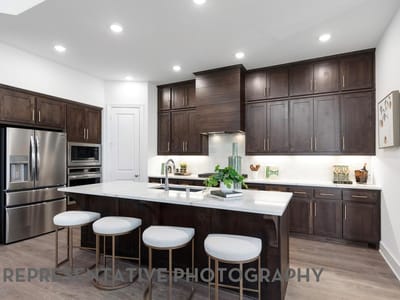 Kitchen at 1420 Purple Petunia LN - 4 bed 3 bath home