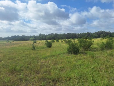 Primary bedroom at 1483 County Road 281 Rd - JENKS, J. SUR.,, Leander, TX