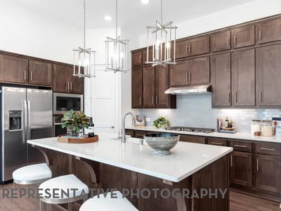 Kitchen at 1524 Snowdrop DR - 4 bed 3 bath home