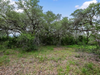 Living area at 155 SW Crosswater Ln - Caliterra Ph 5 Sec 14, Dripping Springs, TX
