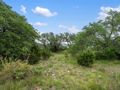 Primary bedroom at 155 SW Crosswater Ln - Caliterra Ph 5 Sec 14, Dripping Springs, TX