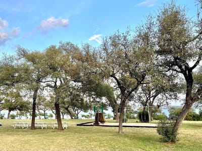 Primary bedroom at 15600 Cedar Ledge St - Travis Landing, Austin, TX
