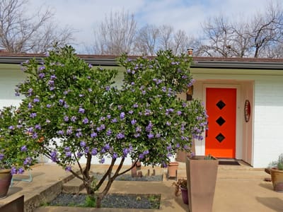 Primary bedroom at 1601 E 19th ST - 3 bed 2 bath home