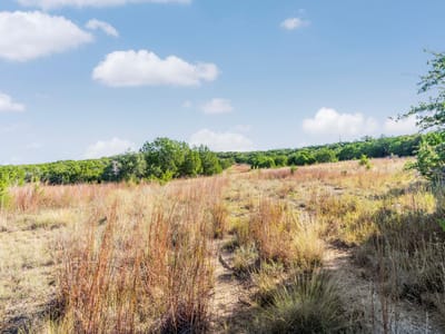 Kitchen at 2021 Stagecoach Ranch Rd - A0129 - Phillip H Commans Surv, Dripping Springs, TX