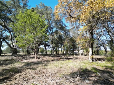 Primary bedroom at 205 Serenity Dr - Serenity Spgs Ph I, Liberty Hill, TX