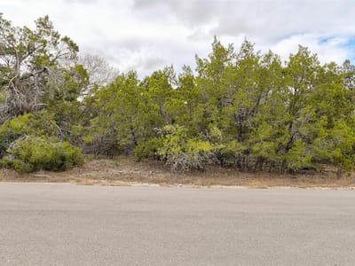 Primary bedroom at 20607 Fawn Ridge Dr - Lago Vista Sec 03 Ph 04, Leander, TX