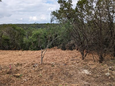 Primary bedroom at 20702 Ramrod Trl - Bar-K Ranches Sec 15-A, Lago Vista, TX