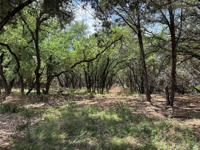 Primary bedroom at 21501 Paseo De Vaca St - Bar-K Ranches 02, Leander, TX