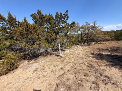 Primary bedroom at 21503 Paine Ave - Highland Lake Estates Sec 21, Lago Vista, TX