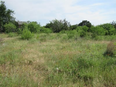 Primary bedroom at 22030 Redbird Dr - Highland Lake Estates Sec 24, Lago Vista, TX