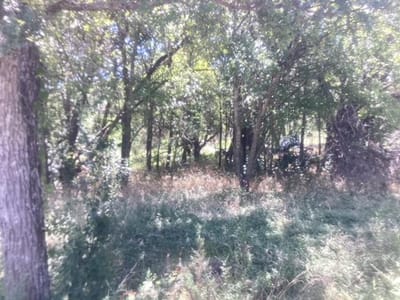 Primary bedroom at 24418 Cottonwood Dr - Sandy Creek Ranches Ph 06, Leander, TX