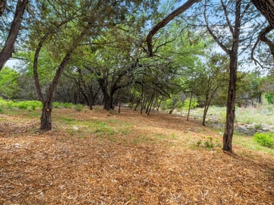 Primary bedroom at 2901 Ticonderoga Cv - Highland Lake Estates Sec 28, Lago Vista, TX