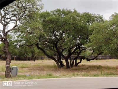 Primary bedroom at 410  Whisenant Ln - Cortaro, Dripping Springs, TX