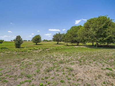 Primary bedroom at 415 County Road 154 - Lana Weeks Sub, Georgetown, TX