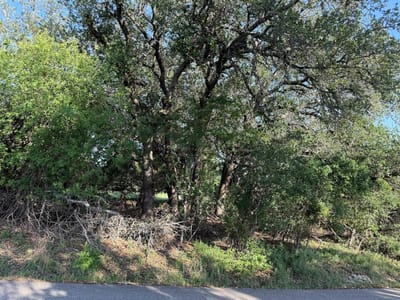Primary bedroom at 4209 Rockwood DR - Country Club Estates Sec 07, Lago Vista, TX