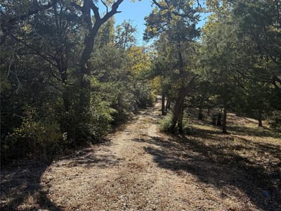 Primary bedroom at 628 Leisure LN - Bluebonnet Acres Sec 1, Cedar Creek, TX