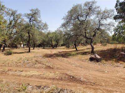 Primary bedroom at 650 Beauchamp Rd - Shady Valley Iii, Dripping Springs, TX