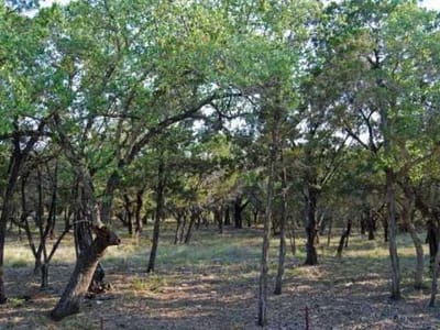 Primary bedroom at 6805 Sunset Ridge Way - Hollows Ph 2c The, Jonestown, TX