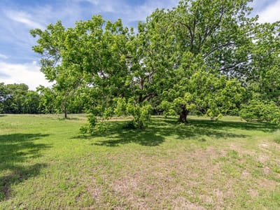 Kitchen at 700 Main St - AM10DLXI - MH - SLE/SLH/SBU, Liberty Hill, TX