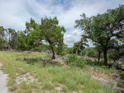 Primary bedroom at 8303 Angus Trl - Bar-K Ranches Plat 4, Lago Vista, TX