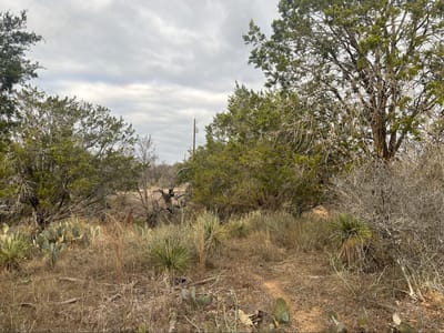 Primary bedroom at Lot 261 W Briarway Dr - Greenbriar, Granite Shoals, TX