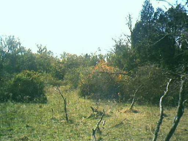 0 ANTIOCH RD