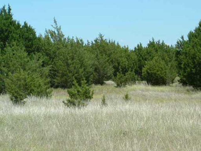 0 County Road 282
