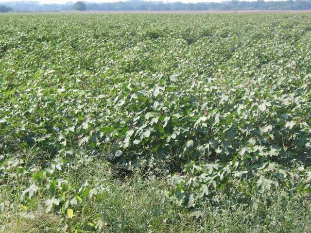 0 County Road    350