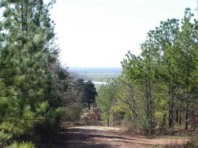 0 Mesa Pinto DR