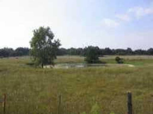 0 pin oak ST