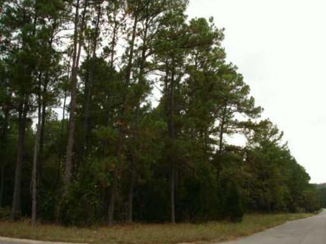 0 Pine View LOOP