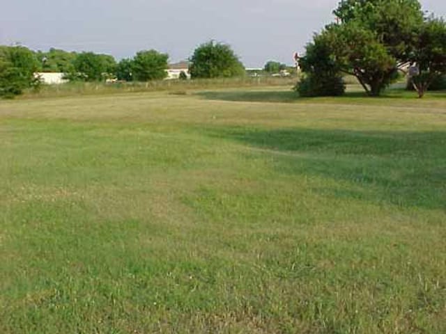 0 Poe CIR