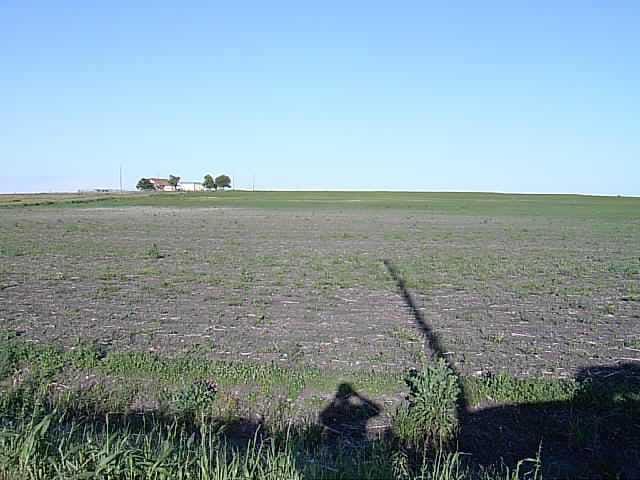 00 County Road 331