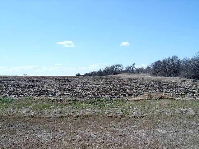 00 County Road 333