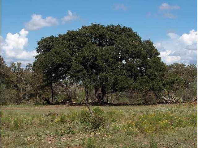 00 Upper Elgin River RD