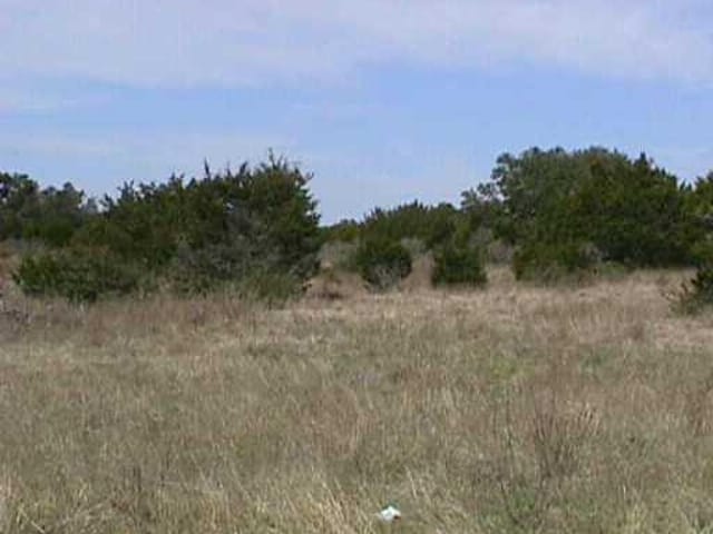 000 whitetail RUN