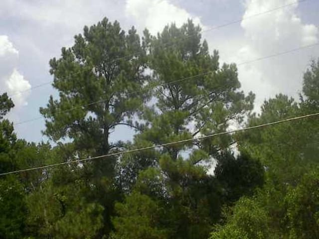 0000 Pine VLY