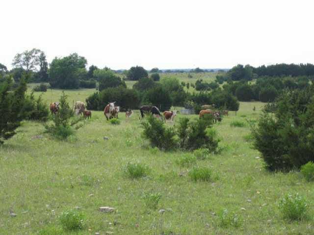 1 R O Ranch RD